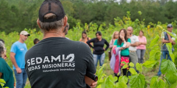 Producción de seda como herramienta de desarrollo