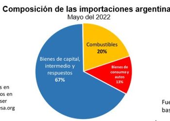 IDESA: el festival es de emisión de pesos, no de importaciones