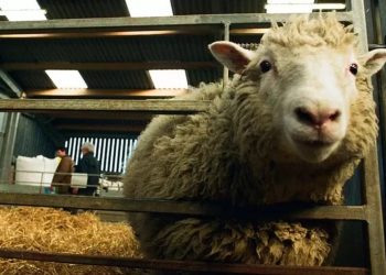 Efemérides: 5 de julio