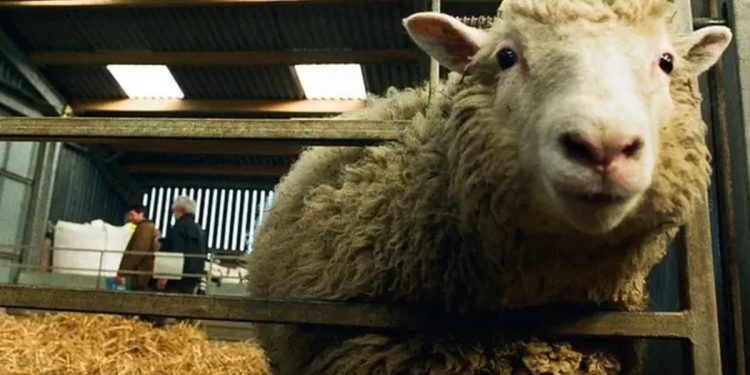 Efemérides: 5 de julio