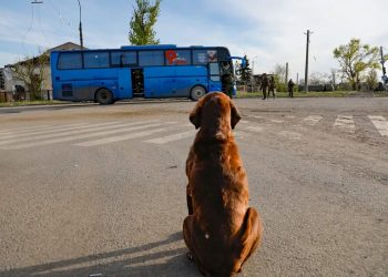 Efemérides: 27 de julio