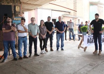 Productores misioneros recibieron 160 mil plantines de yerba mate