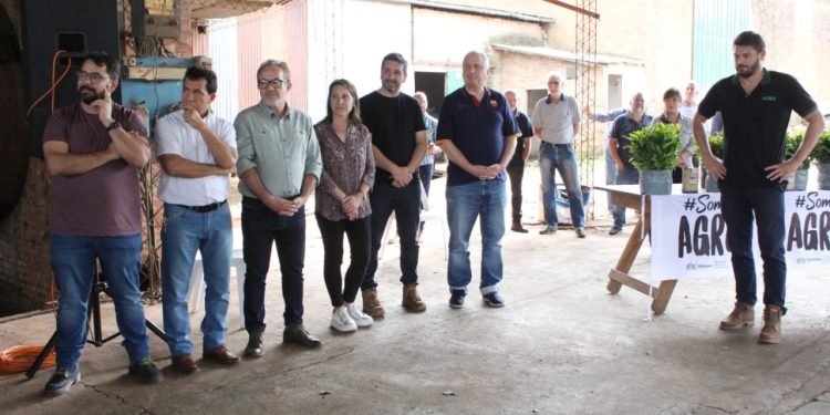 Productores misioneros recibieron 160 mil plantines de yerba mate