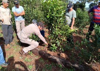 Capacitación en manejo de planta de yerba mate en Polvorín