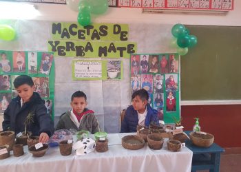 El 8 agosto arrancan las ferias de ciencia y tecnología departamentales en Misiones