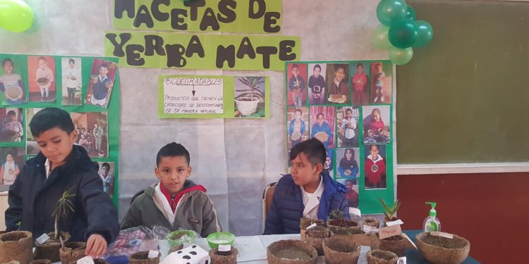 El 8 agosto arrancan las ferias de ciencia y tecnología departamentales en Misiones
