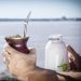 El consumo interno de yerba mate superó los 163 millones de kilos entre enero y julio