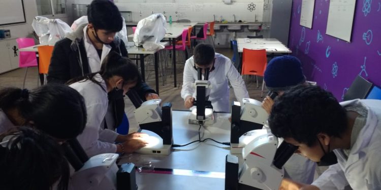 Conectar Lab Posadas invita a las escuelas a presentar proyectos educativos