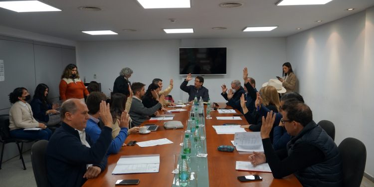 Estudian la creación de un programa para prevenir y tratar alteraciones en la postura