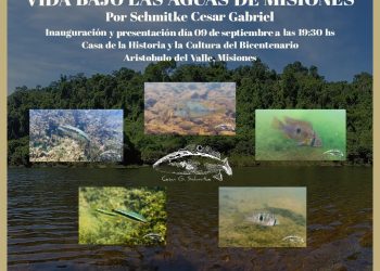 Cuenta regresiva para la muestra fotográfica «Vida bajo las aguas de Misiones», de César Gabriel Schmitke