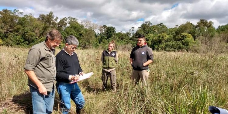 Monitorean agua, vegetación, suelo y erosión de cinco puntos de la Cuenca del arroyo Garupá