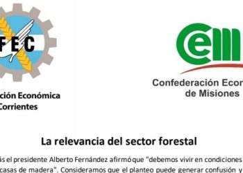 La relevancia del sector forestal