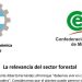 La relevancia del sector forestal