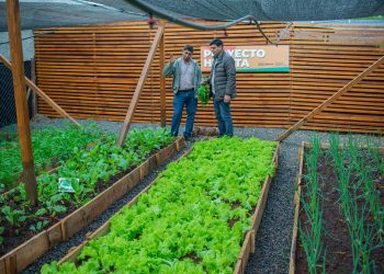 Posadas: la Cocina Centralizada del barrio Santa Rita contará con una huerta para producir sus alimentos