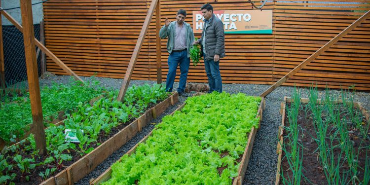 Posadas: la Cocina Centralizada del barrio Santa Rita contará con una huerta para producir sus alimentos