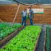 Posadas: la Cocina Centralizada del barrio Santa Rita contará con una huerta para producir sus alimentos