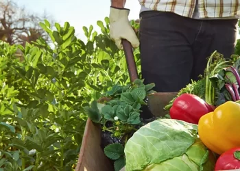 Establecieron el 10 de septiembre como el Día Provincial de la Soberanía Alimentaria