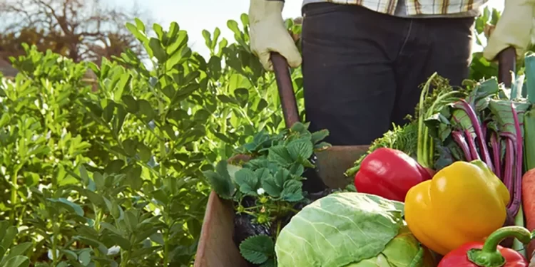 Establecieron el 10 de septiembre como el Día Provincial de la Soberanía Alimentaria