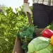 Establecieron el 10 de septiembre como el Día Provincial de la Soberanía Alimentaria