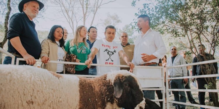 De visita en la 2° expo cuenca ovino-caprina de la zona sur, el gobernador destacó el fuerte trabajo del sector