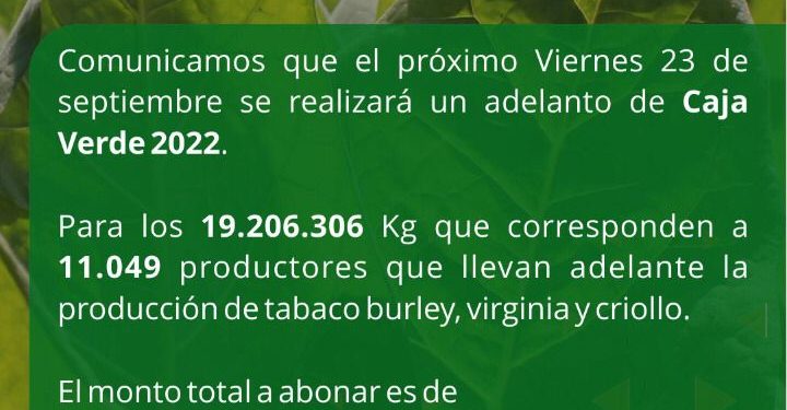 Adelantan 480 millones de pesos a tabacaleros misioneros por Caja Verde 2022