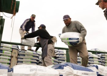Campo Viera: comenzó  la ejecución del Programa de Fertilización para el Sector Tealero