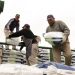 Campo Viera: comenzó  la ejecución del Programa de Fertilización para el Sector Tealero