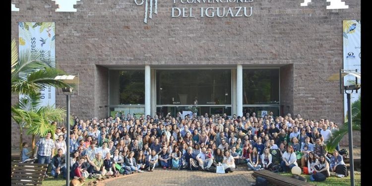 Mastozoología: Iguazú será sede sobre el estudio y conservación de los mamíferos