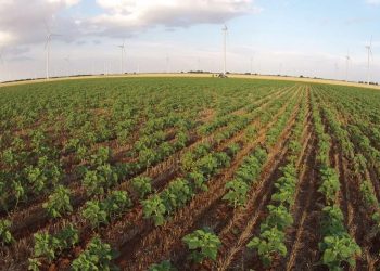 Efemérides: 08 de septiembre