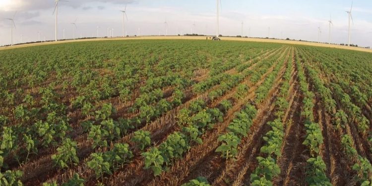 Efemérides: 08 de septiembre