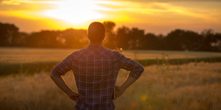 Yara lanza un torneo virtual para promover la agricultura sostenible