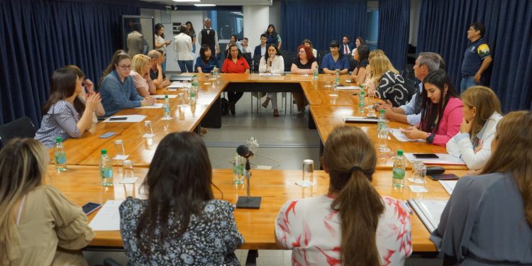 Obtuvo dictamen el proyecto para regular el ejercicio de profesionales en Educación Especial