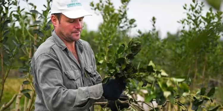 Más de 2300 familias yerbateras tienen cobertura médica en la provincia