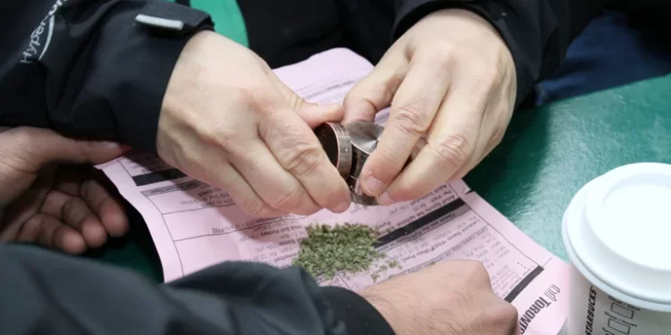 Estados Unidos: Joe Biden indultó a todos los presos condenados por posesión de marihuana