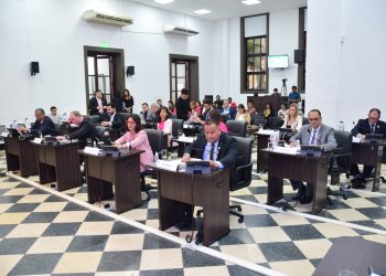 Posadas: concejales aprobaron la implementación de pictogramas en espacios públicos