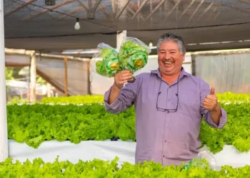 Buscan potenciar la producción agrícola en los invernaderos a través del desarrollo tecnológico