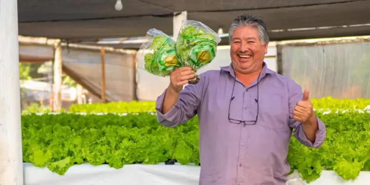 Buscan potenciar la producción agrícola en los invernaderos a través del desarrollo tecnológico