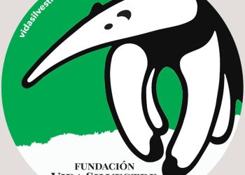 15 años de la Ley de Bosques: ¿cuál es el balance desde su sanción?