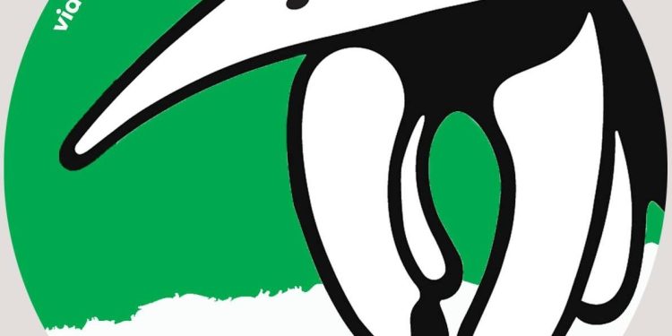 15 años de la Ley de Bosques: ¿cuál es el balance desde su sanción?