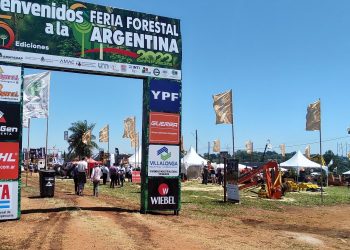 La Dinámica Forestal y las oportunidades en el mercado de bonos de carbono, ejes en la tercera jornada de la Feria Forestal Argentina