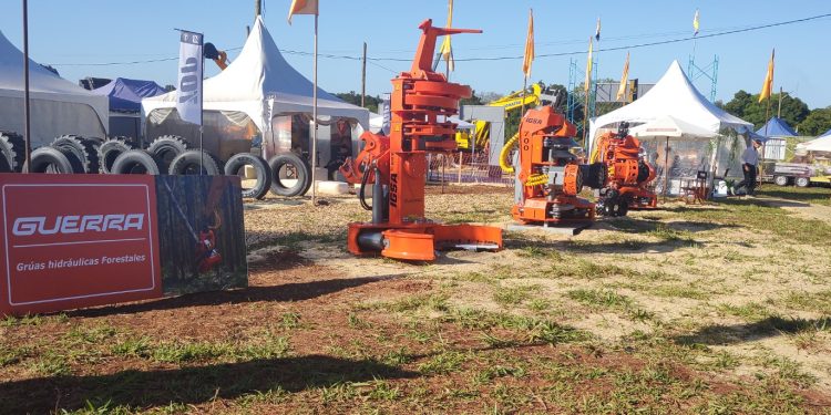 Con cerca de 400 stands y más de 500 expositores, comenzó la Feria Forestal Argentina