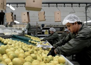 Los consumidores pagan cuatro veces más de que lo que cobran los productores agropecuarios