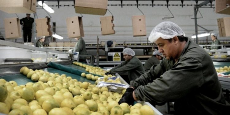 Los consumidores pagan cuatro veces más de que lo que cobran los productores agropecuarios