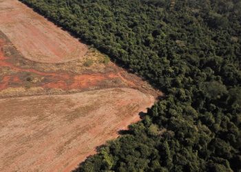 La Unión Europea prohibirá las importaciones de productos que provengan de deforestación