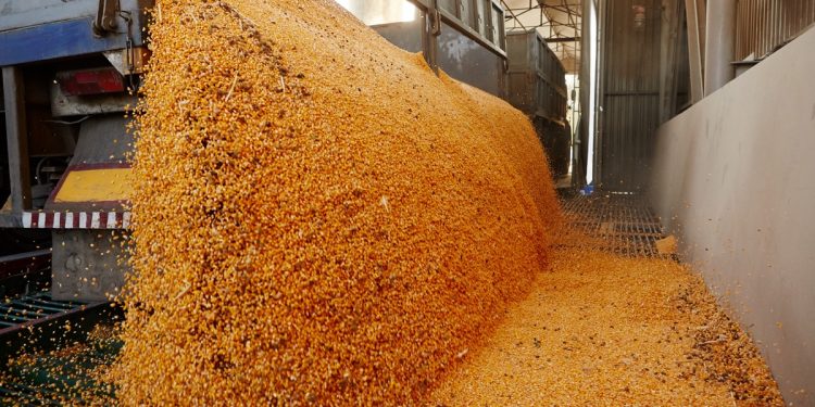Agroexportadores liquidaron US$ 1.600 millones en las primeras semanas del nuevo dólar soja