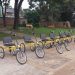 Eco Bicis en Posadas: se incorporaron bicicletas adaptadas para personas con discapacidad