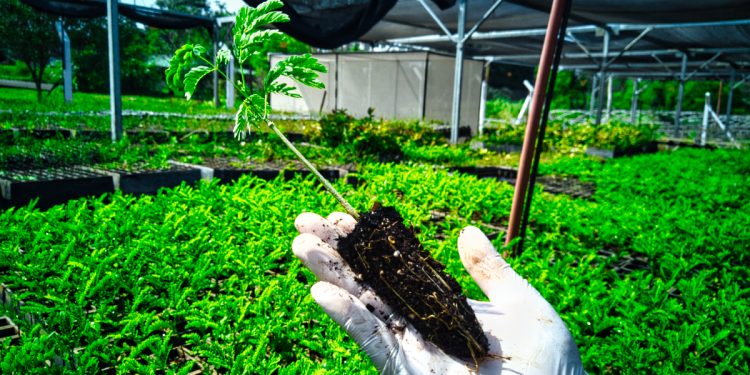 Un año 2022 cargado de logros para la Biofábrica Misiones y un 2023 con nuevos desafíos