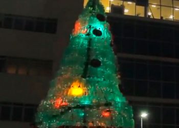 Ideas para festejar fin de año de una manera sustentable