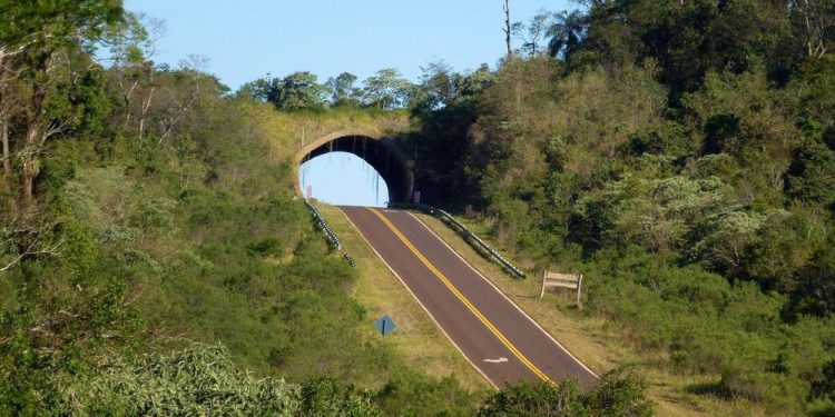 Misiones cuenta con 32 pasafaunas distribuidos en distintos puntos de la provincia