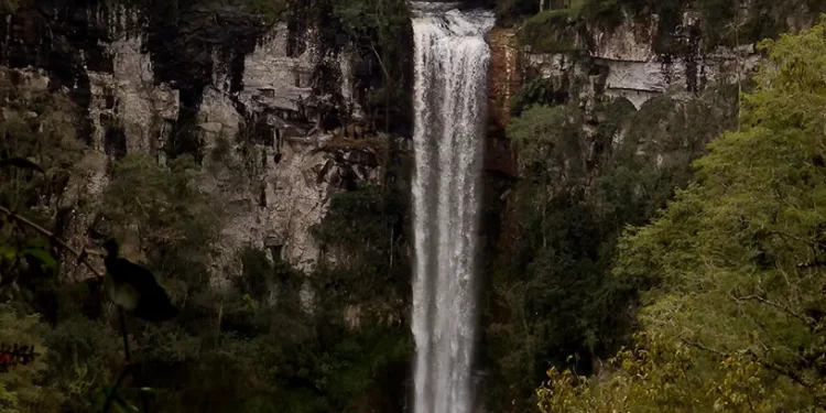 Saltos y cascadas, otra opción para disfrutar del verano en Misiones